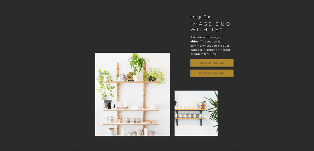 Image duo with text